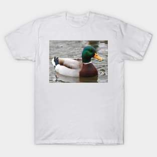 Actual Advice Mallard T-Shirt